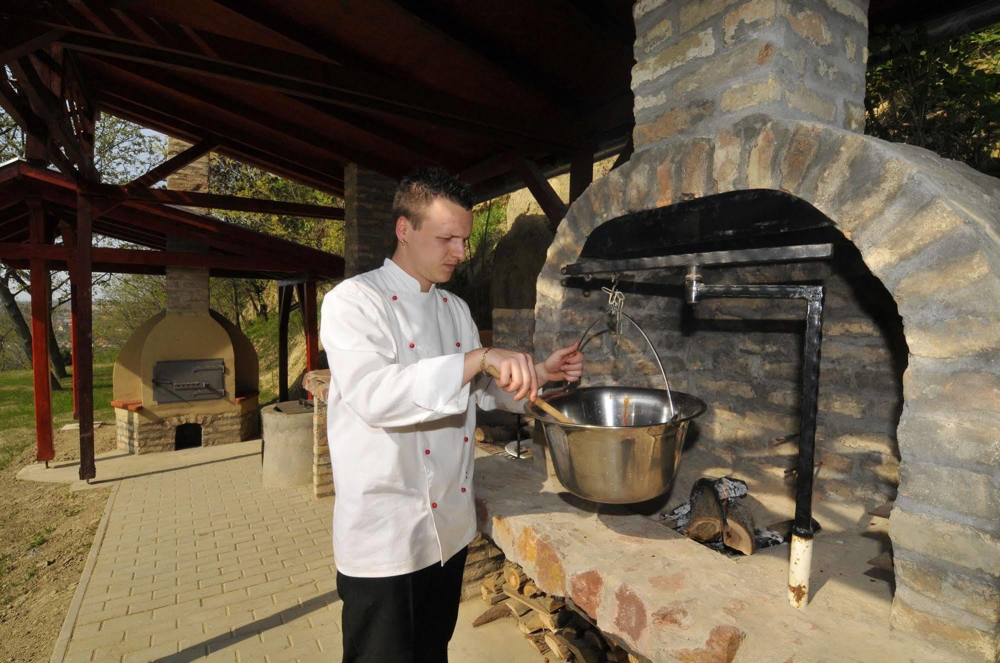 Fried Kastely Hotel Simontornya Exterior foto